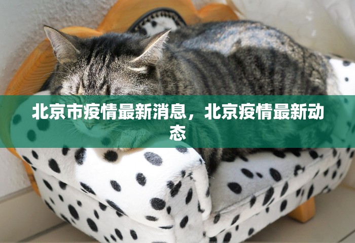 房卡全了解“微信炸 金花链接房卡购买	”获取房卡教程-哔哩哔哩
