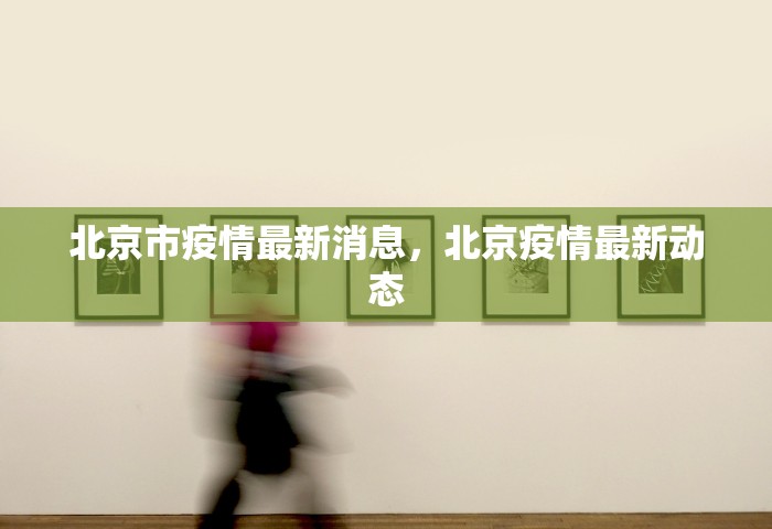 北京市摇号结果查询官网	，北京小客车指标摇号结果查询官网入口