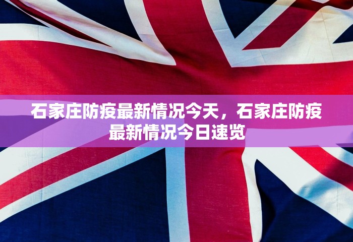 石家庄防疫最新情况今天，石家庄防疫最新情况今日速览