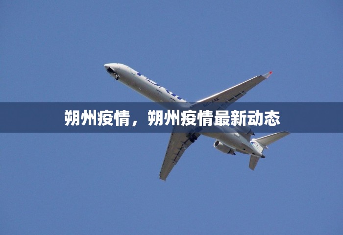北京朝阳13日起连续核酸3天，北京朝阳13日起连续三天核酸检测
