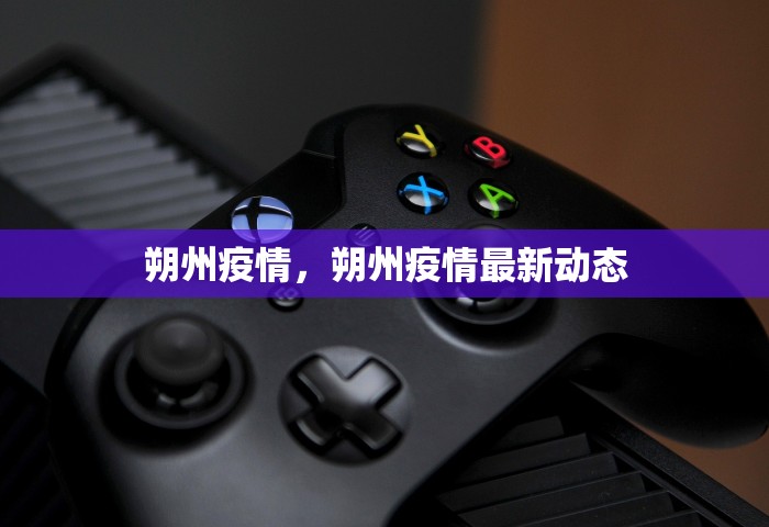 武汉本轮输入性疫情源头查明	，武汉本轮输入性疫情源头查明