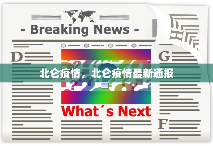 31省份新增本土确诊24例，31省份新增本土确诊24例