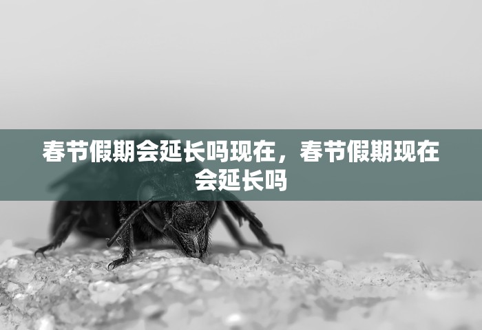 春节假期会延长吗现在	，春节假期现在会延长吗