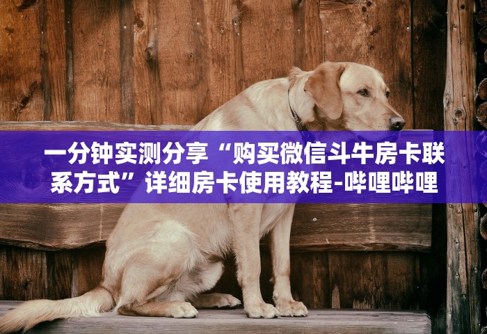 北京新增1例境外输入，北京新增1例境外输入确诊病例
