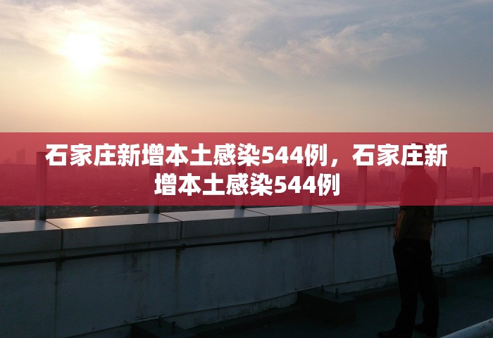 石家庄新增本土感染544例	，石家庄新增本土感染544例