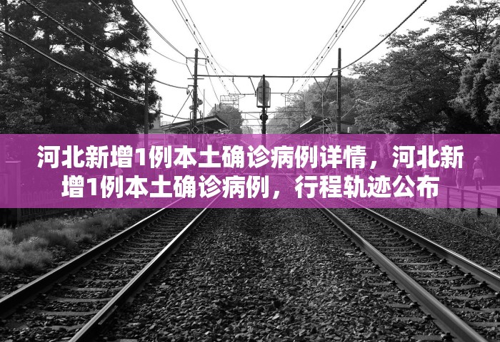 世卫讨论结束新冠全球紧急状态，世卫组织讨论结束新冠全球紧急状态