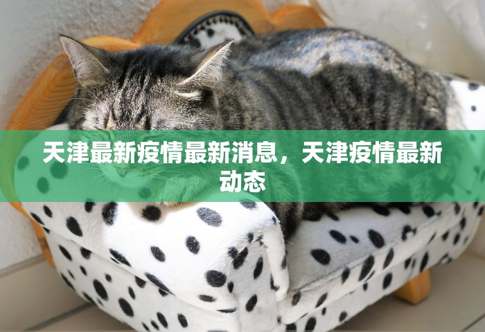 北京限号2021年3月最新限号	，北京2021年3月最新限号安排
