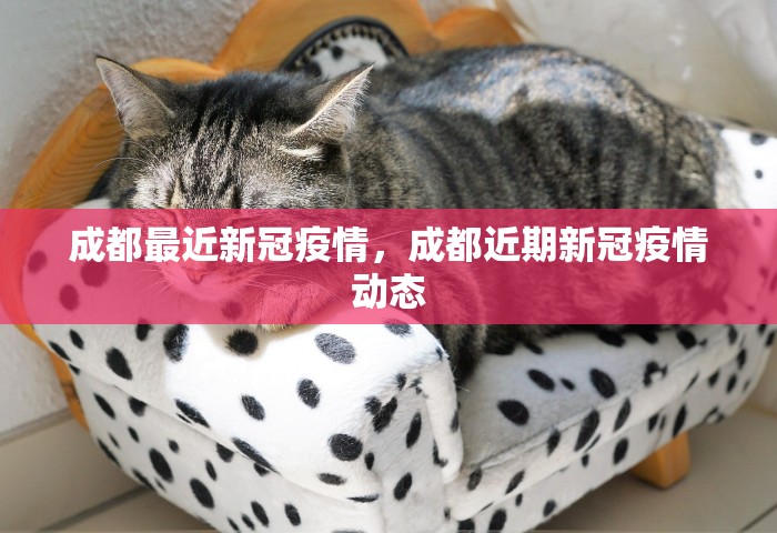 浙江嘉兴疫情最新情况，浙江嘉兴疫情最新情况通报