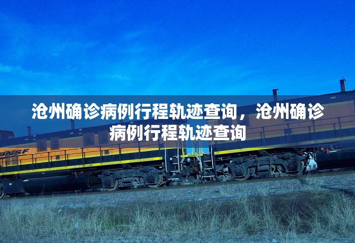 沧州确诊病例行程轨迹查询，沧州确诊病例行程轨迹查询