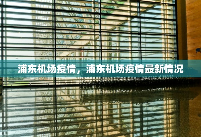 浦东机场疫情	，浦东机场疫情最新情况