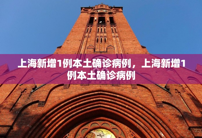 上海新增1例本土确诊病例	，上海新增1例本土确诊病例