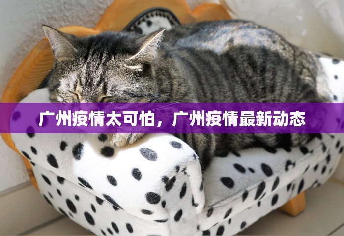 广州疫情太可怕，广州疫情最新动态