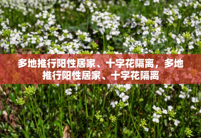 多地推行阳性居家	、十字花隔离	，多地推行阳性居家、十字花隔离