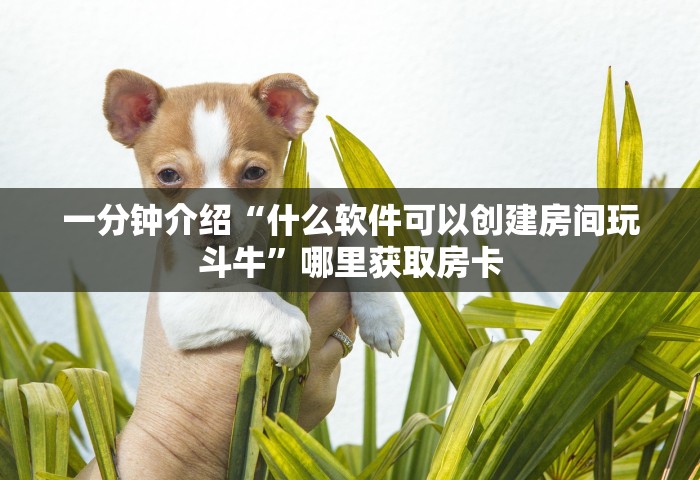 给大家讲解“如何创建微信群热玩吧房间”详细房卡怎么充值教程