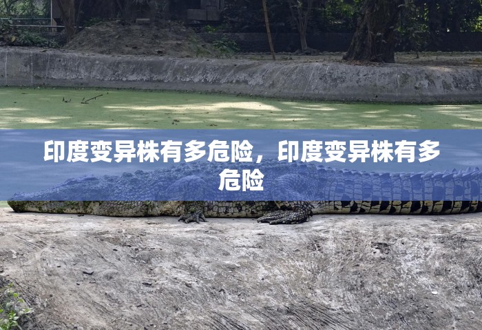 广州12例感染者详情，广州12例感染者详情公布