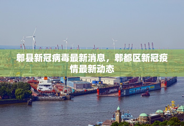 西安增1例本土确诊 系外省来陕人员	，西安新增1例本土确诊病例 系外省来陕人员