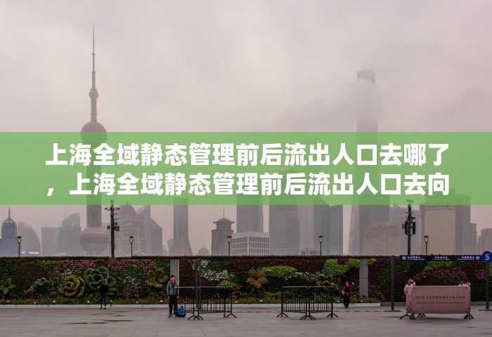 上海全域静态管理前后流出人口去哪了	，上海全域静态管理前后流出人口去向分析