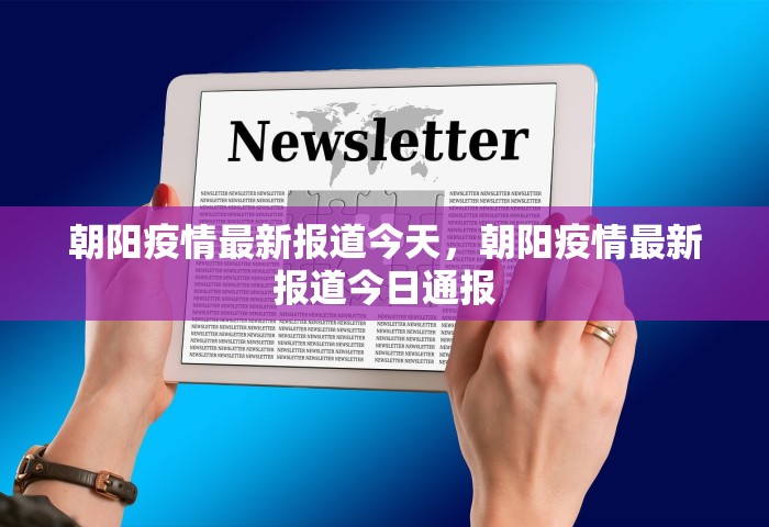 31省份新增本土确诊	，31省份新增本土确诊情况