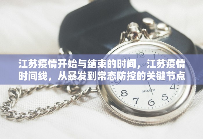 2024返乡政策最新查询，2024年最新返乡政策查询指南
