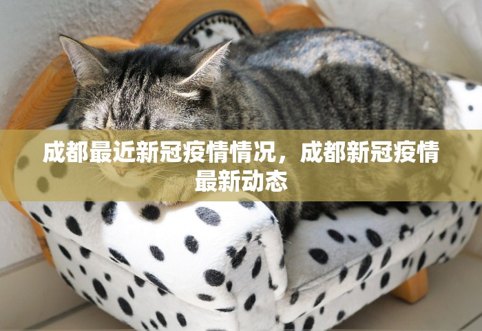 成都最近新冠疫情情况，成都新冠疫情最新动态