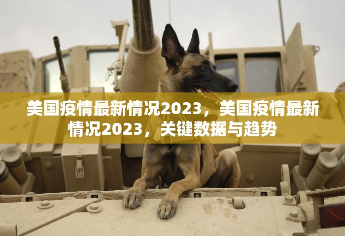 2024返乡政策最新查询，2024年最新返乡政策查询指南