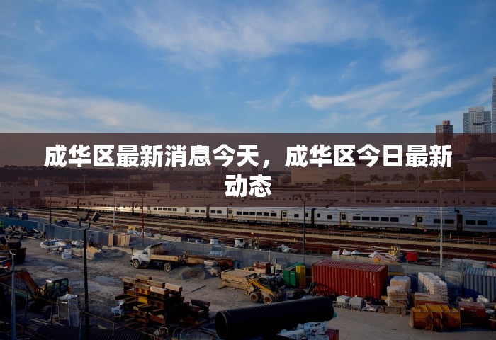 成华区最新消息今天，成华区今日最新动态