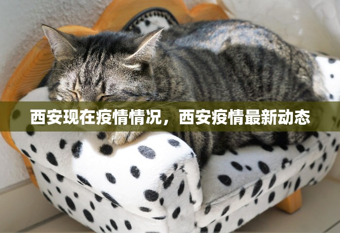西安现在疫情情况，西安疫情最新动态