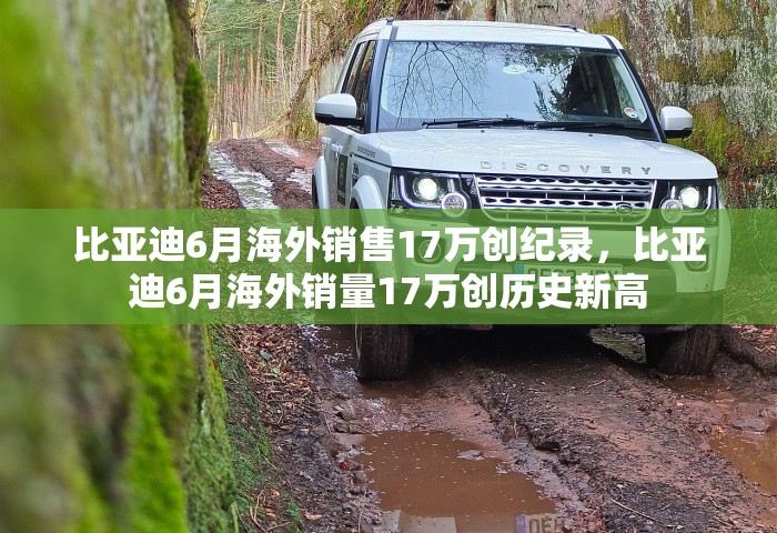 比亚迪6月海外销售17万创纪录	，比亚迪6月海外销量17万创历史新高