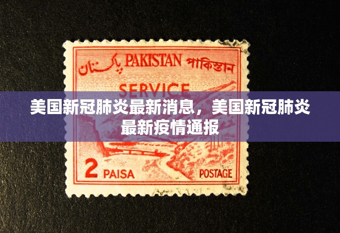 美国新冠肺炎最新消息	，美国新冠肺炎最新疫情通报