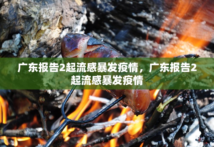 广东报告2起流感暴发疫情，广东报告2起流感暴发疫情
