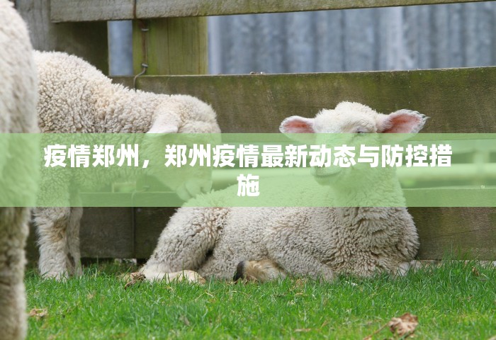 疫情郑州，郑州疫情最新动态与防控措施