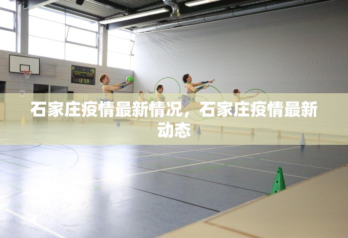 石家庄疫情最新情况，石家庄疫情最新动态