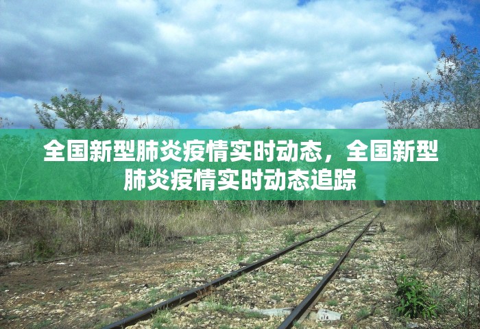 全国新型肺炎疫情实时动态	，全国新型肺炎疫情实时动态追踪