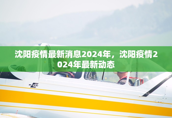沈阳疫情最新消息2024年，沈阳疫情2024年最新动态