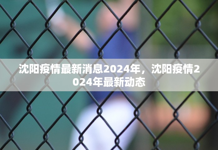 沈阳疫情最新消息2024年，沈阳疫情2024年最新动态