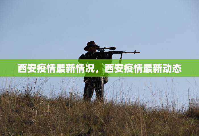 西安疫情最新情况，西安疫情最新动态