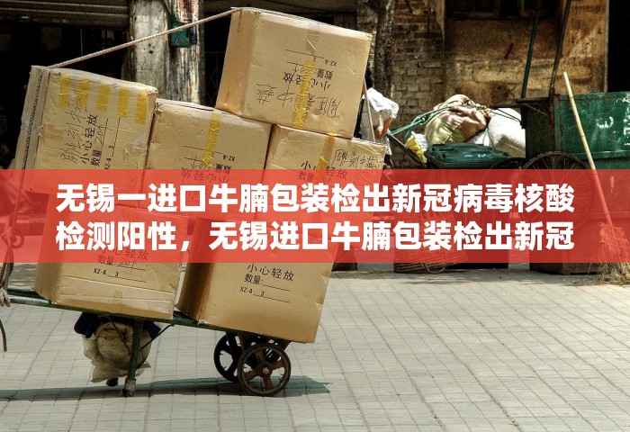 无锡一进口牛腩包装检出新冠病毒核酸检测阳性	，无锡进口牛腩包装检出新冠核酸阳性