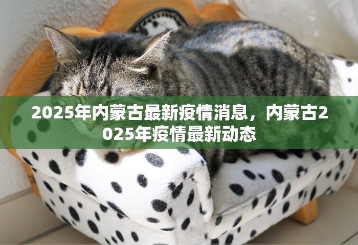 2025年内蒙古最新疫情消息，内蒙古2025年疫情最新动态