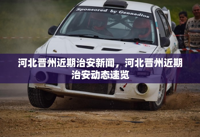 河北晋州近期治安新闻，河北晋州近期治安动态速览