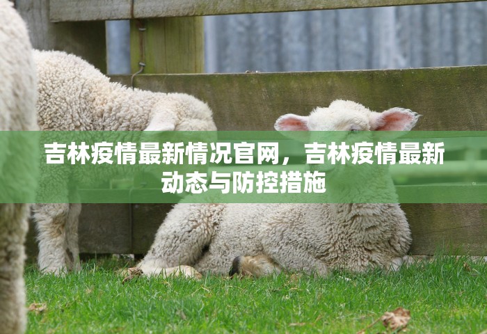 吉林疫情最新情况官网，吉林疫情最新动态与防控措施