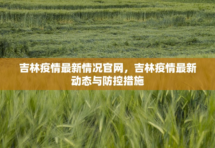 吉林疫情最新情况官网，吉林疫情最新动态与防控措施