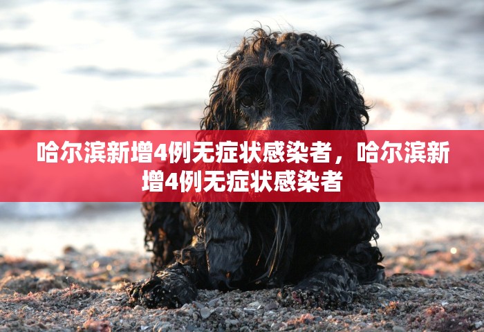 哈尔滨新增4例无症状感染者，哈尔滨新增4例无症状感染者