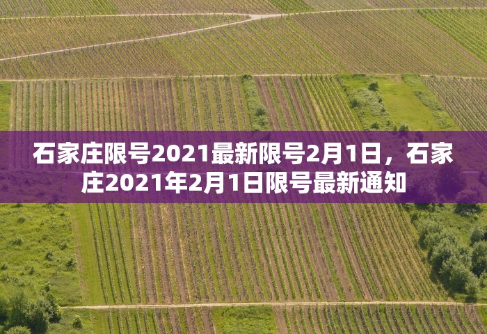 石家庄限号2021最新限号2月1日，石家庄2021年2月1日限号最新通知