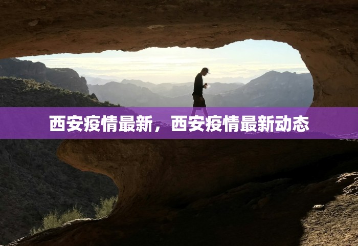 西安疫情最新，西安疫情最新动态