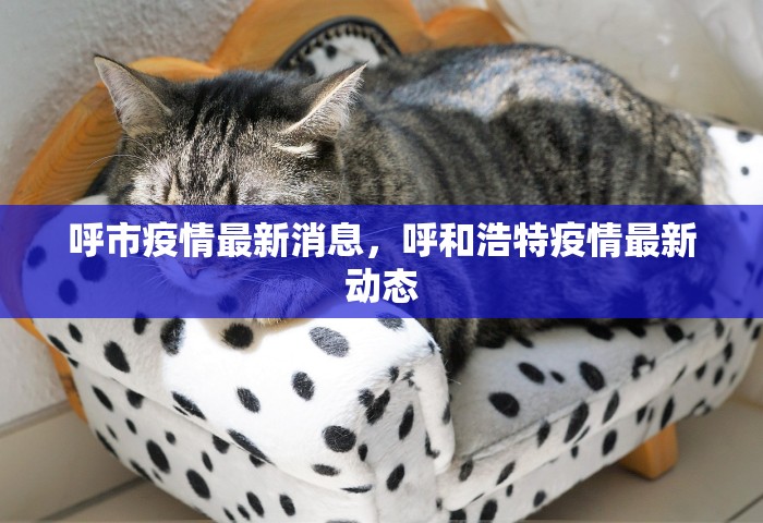 呼市疫情最新消息，呼和浩特疫情最新动态