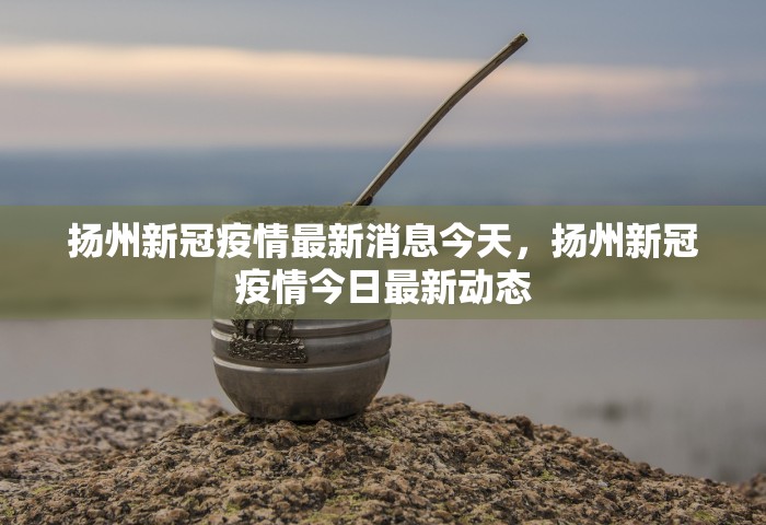 扬州新冠疫情最新消息今天，扬州新冠疫情今日最新动态