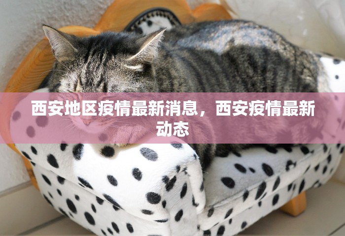 西安地区疫情最新消息，西安疫情最新动态
