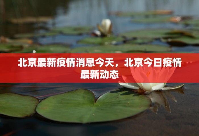 北京最新疫情消息今天，北京今日疫情最新动态