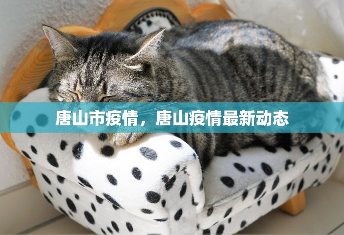 唐山市疫情，唐山疫情最新动态