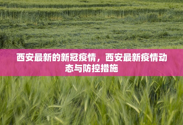 西安最新的新冠疫情，西安最新疫情动态与防控措施